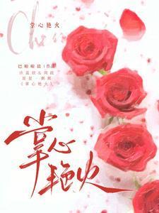 掌心火焰[娱乐圈