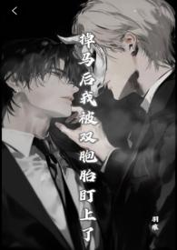 掉马后我成了宠妃(起跃)